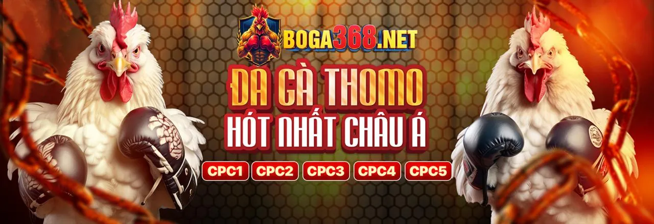 Hoàn Trả cat88 casino