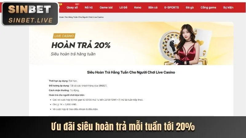 Ứng dụng cat88 casino trên điện thoại